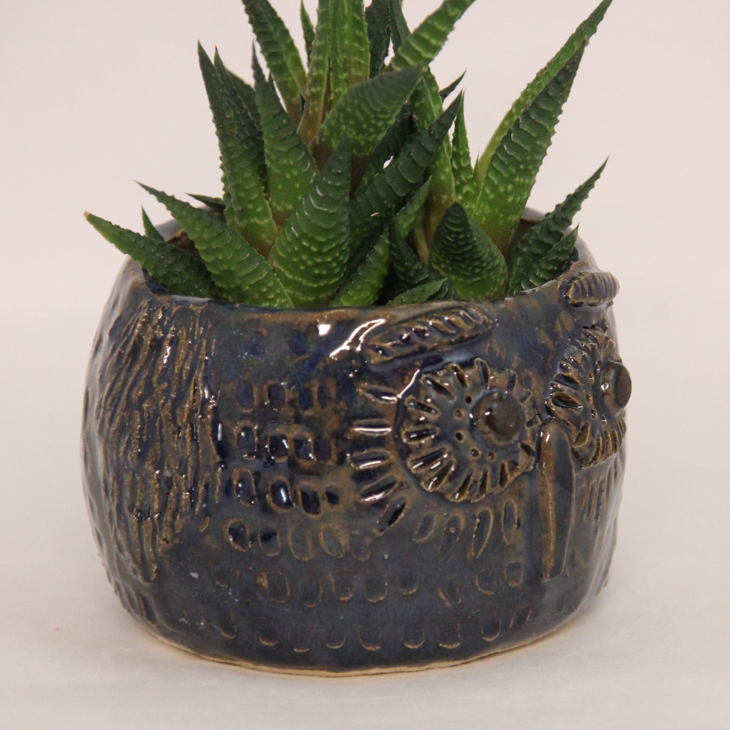 Uglekrukke blåsort Liten