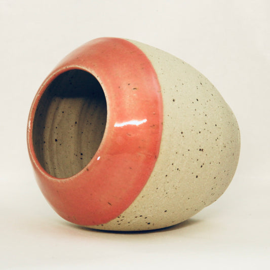 Pink lady vid vase