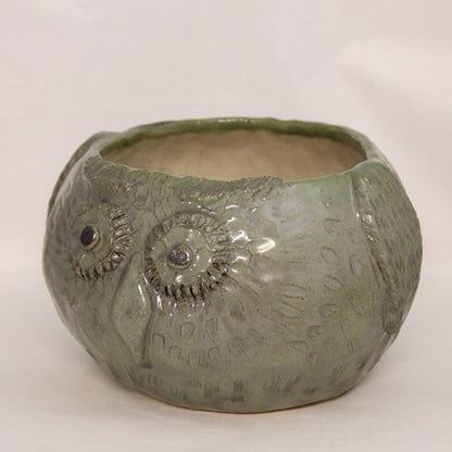 Uglekrukke grønn Stor