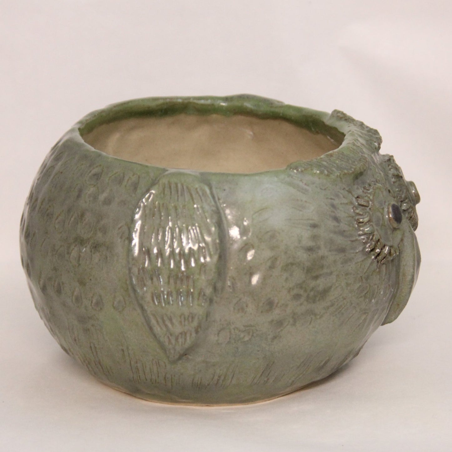 Uglekrukke grønn Stor