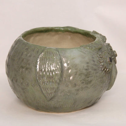 Uglekrukke grønn Stor