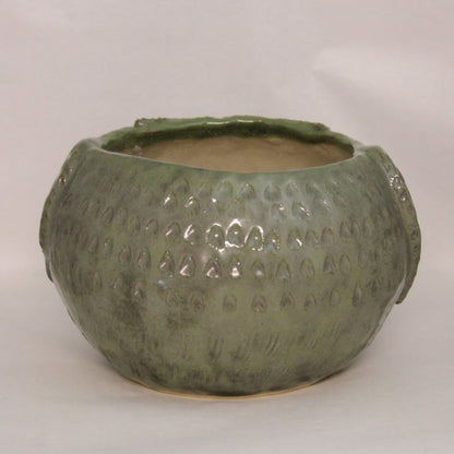 Uglekrukke grønn Stor