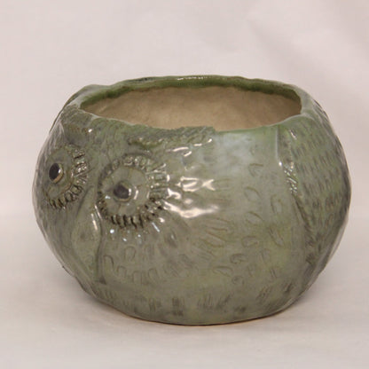 Uglekrukke grønn Stor