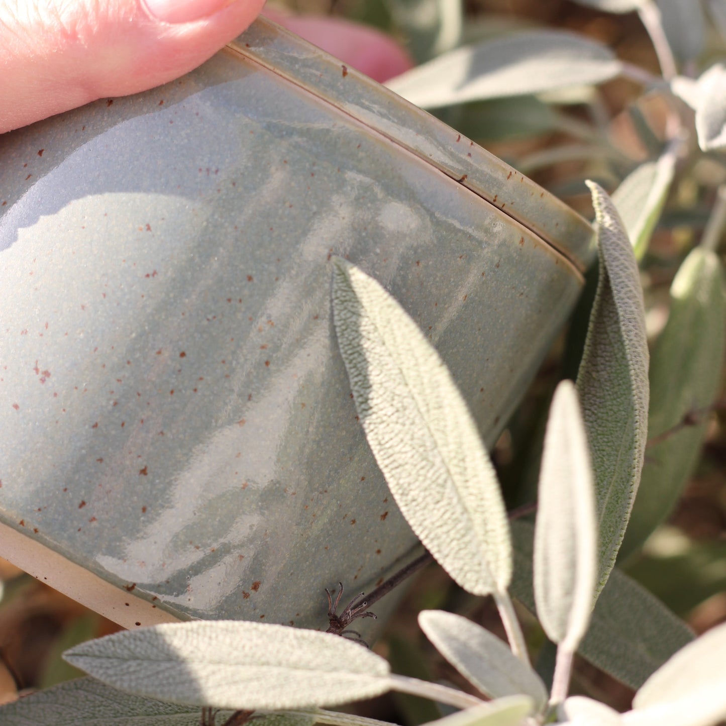 Salviegrønn smørklokke